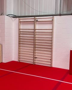 Gymnastic Wall Bars