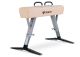 SPIETH FIG certified competition pommel horse